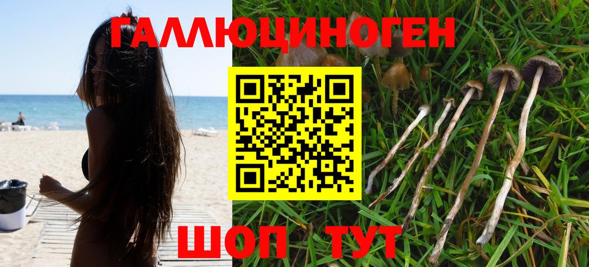 Когалым  Галлюциногенные грибы прущие грибы  Вход с VPN 